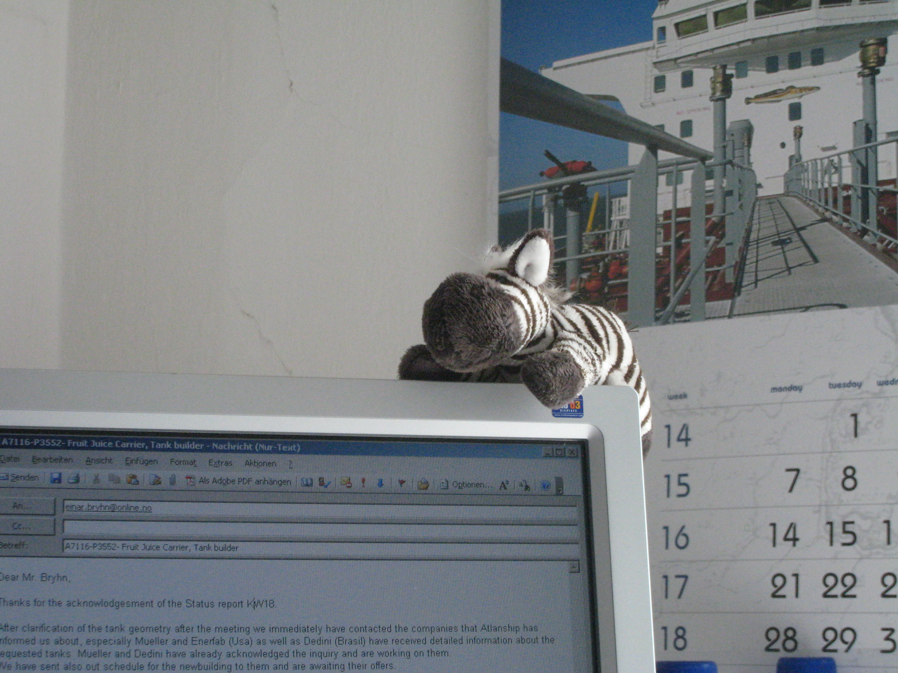 zebra